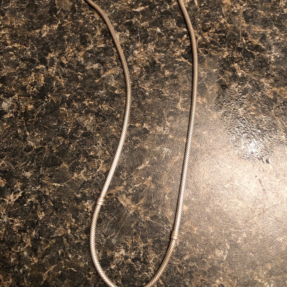 Pandora charm necklace